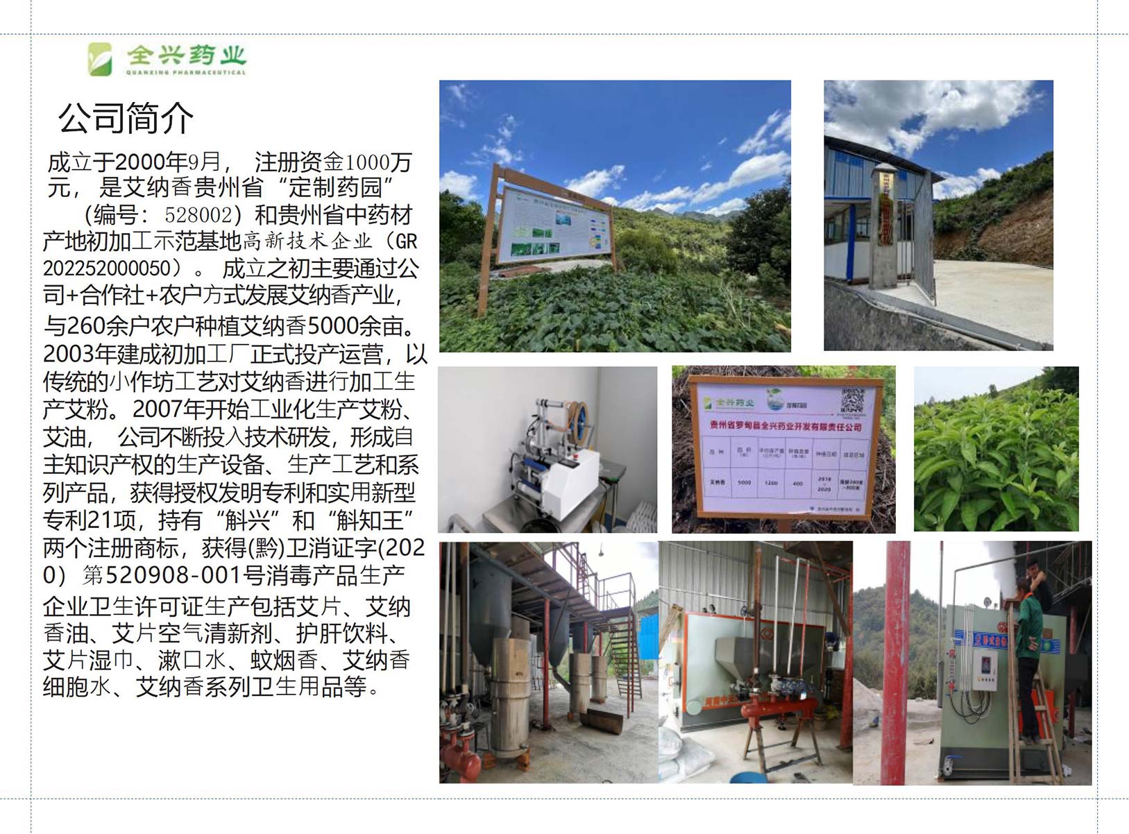 全兴药业艾纳香-6